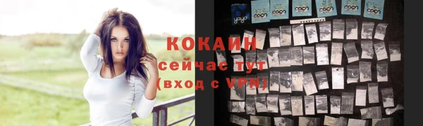 прущие крисы Абаза