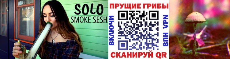 Псилоцибиновые грибы GOLDEN TEACHER  Новотроицк 