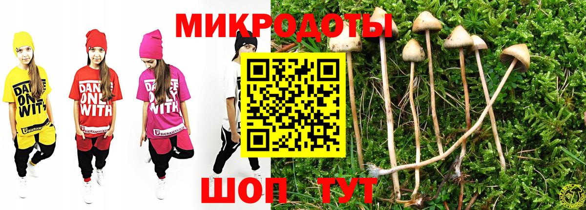 закладка  Галлюциногенные грибы Cubensis  Вход с VPN  Новотроицк 